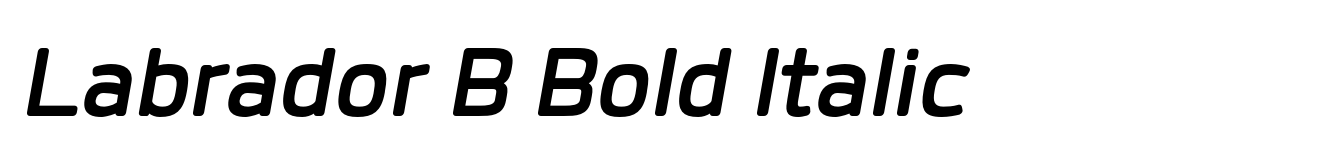 Labrador B Bold Italic